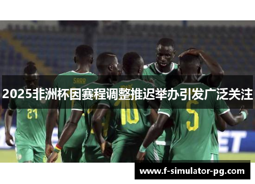 2025非洲杯因赛程调整推迟举办引发广泛关注