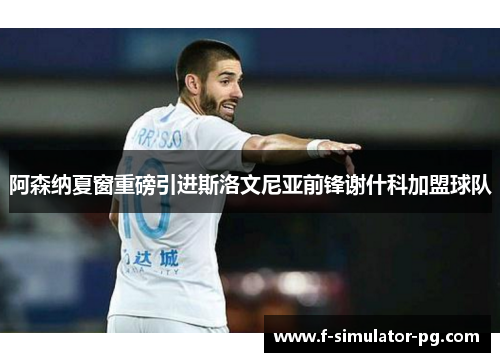 阿森纳夏窗重磅引进斯洛文尼亚前锋谢什科加盟球队 阿森纳夏窗重磅引进斯洛文尼亚前锋谢什科加盟球队