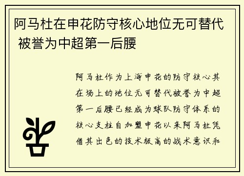 阿马杜在申花防守核心地位无可替代 被誉为中超第一后腰